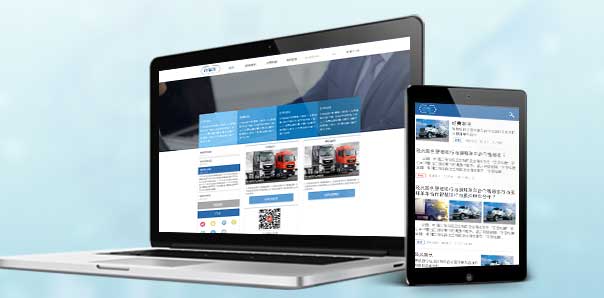 【金融保险类网站建设】直银汇资讯平台