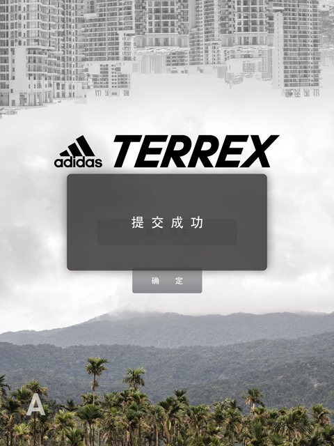 adidas的平板弹窗.jpg